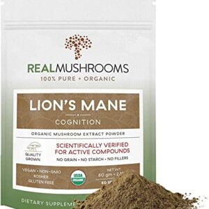 BUY Lion’s Mane Mushroom Powder 60g online