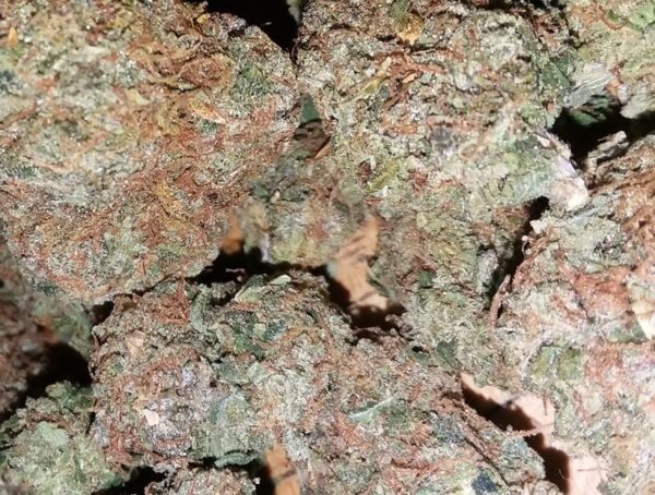 Buy Afghan Kush online