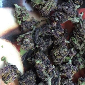 Buy Grape god online