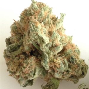 Buy White Widow online